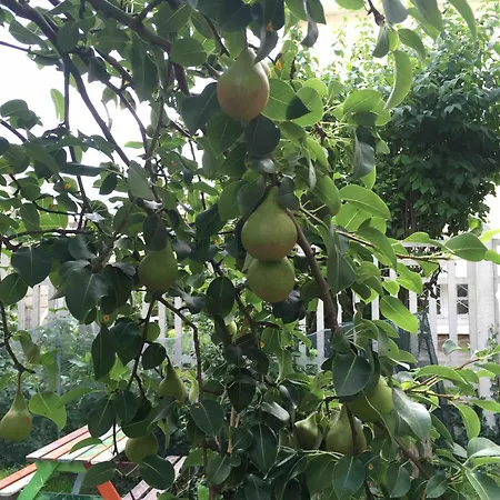 Casa de férias Maison Jardin Proche Paris